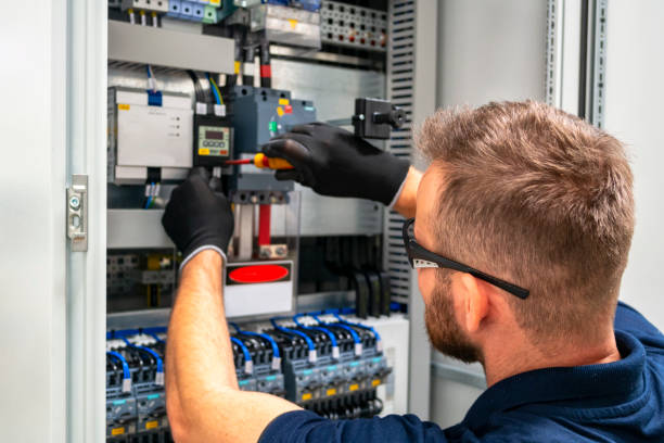 Best Generator Installation Services  in Ransomville, NY